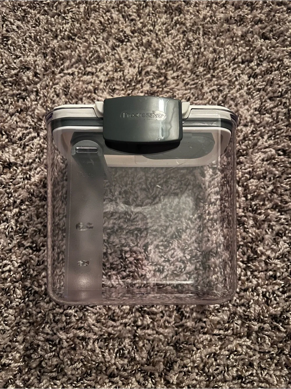 Progressive Clear powdered sugar airtight Storage Container, 4 cups